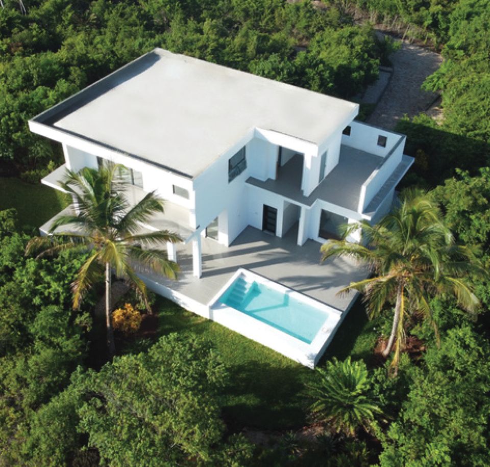 Tropical Nest